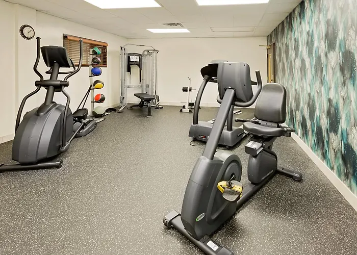 Comfort Inn&suites - Schaumburg Hotel