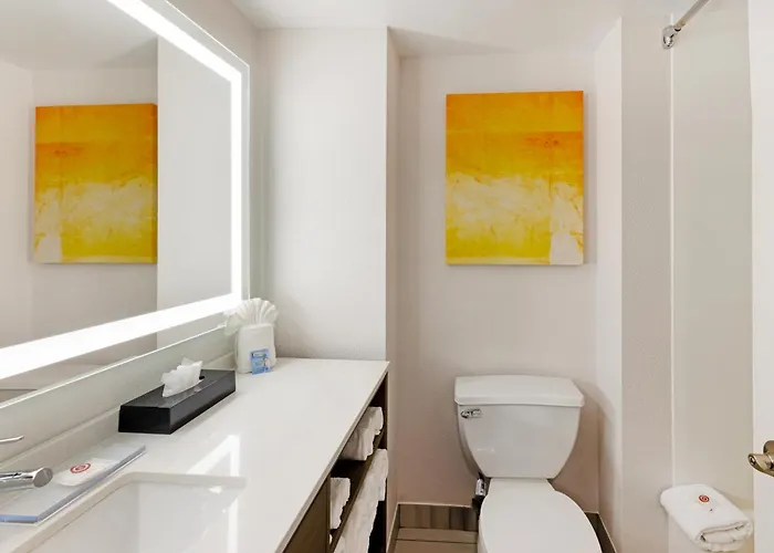 Hotel Comfort Inn&suites - Schaumburg Arlington Heights