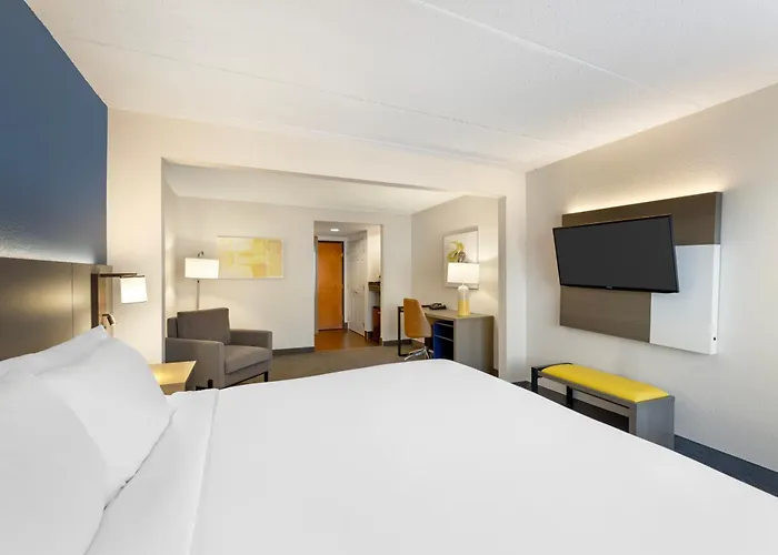Comfort Inn&suites - Schaumburg Arlington Heights