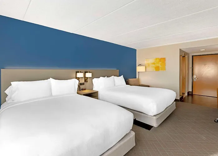 Comfort Inn&suites - Schaumburg Hotel Arlington Heights