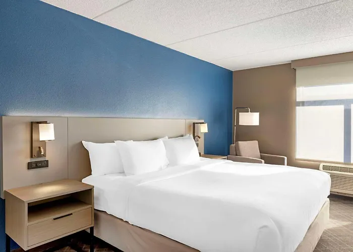 Comfort Inn&suites - Schaumburg