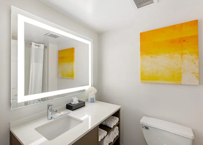Comfort Inn&suites - Schaumburg Arlington Heights