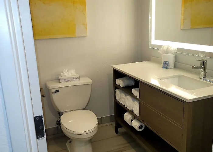 Comfort Inn&suites - Schaumburg Hotel Arlington Heights